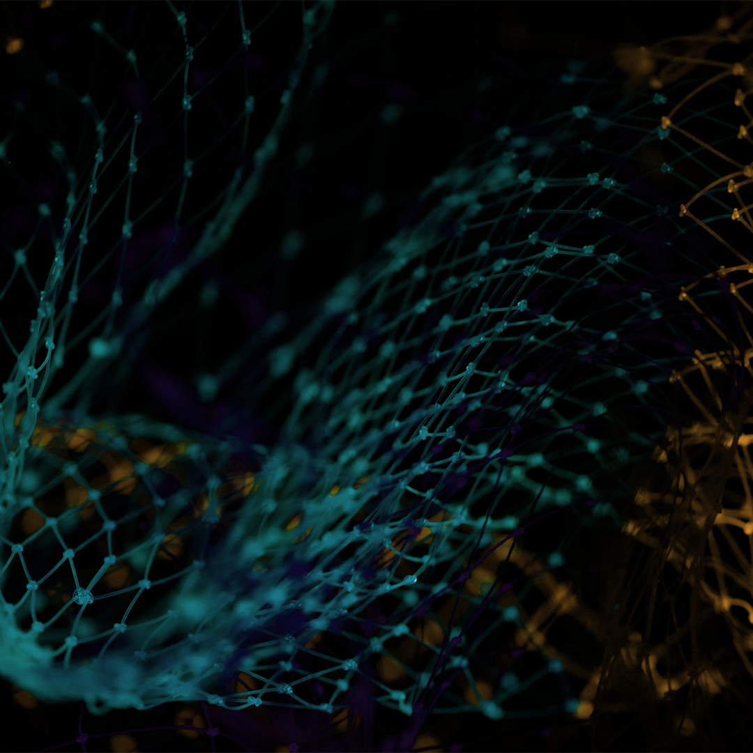netting under colored lights