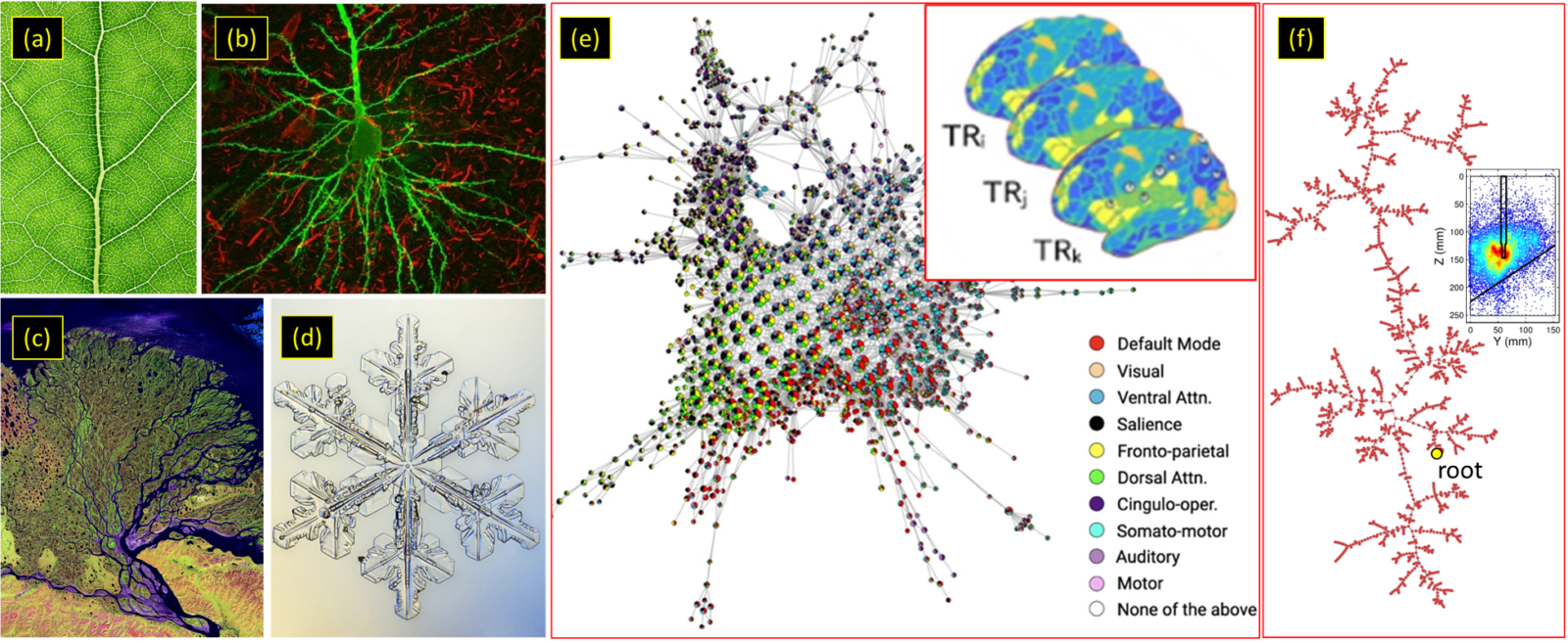 graphs and photos showing fractal data patterns