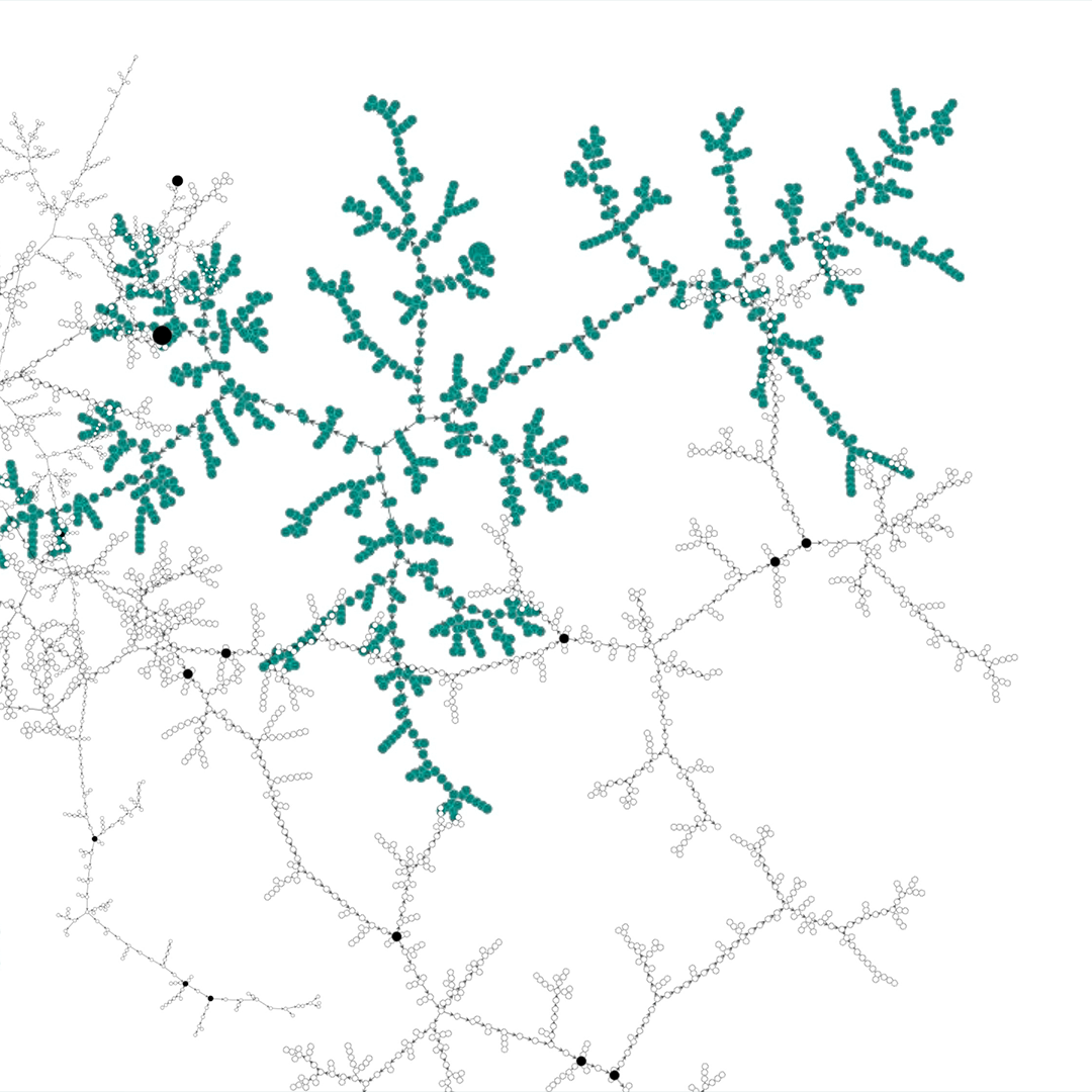nodal dots in a root-like pattern